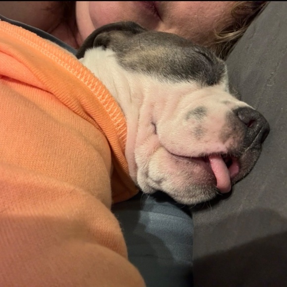 Meet your Posher, Kristen - Picture 2 of 11